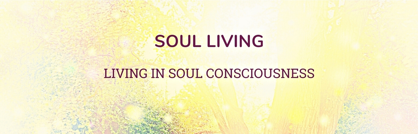6.  Soul Living: Intro Goes Here